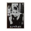 Audrey Hepburn - metalen bord