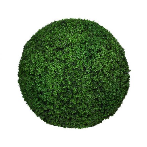 Boxwood Round Medium Green