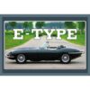 Jaguar E-Type - metalen bord